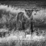 Environmental Photographer Africa