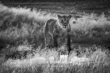 Environmental Photographer Africa