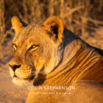 Environmental Photographer Africa
