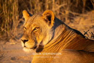 Environmental Photographer Africa
