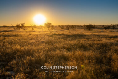 Environmental Photographer Africa
