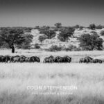 Environmental Photographer Africa