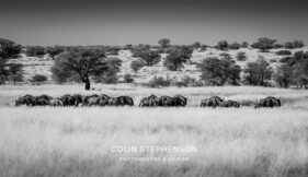 Environmental Photographer Africa