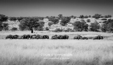 Environmental Photographer Africa