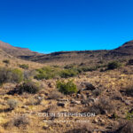 Landscape Photography Tours in the Garden Route & Karoo | Colin Stephenson