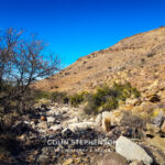 Landscape Photography Tours in the Garden Route & Karoo | Colin Stephenson