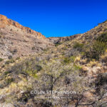 Landscape Photography Tours in the Garden Route & Karoo | Colin Stephenson