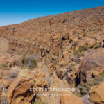 Landscape Photography Tours in the Garden Route & Karoo | Colin Stephenson
