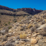 Landscape Photography Tours in the Garden Route & Karoo | Colin Stephenson