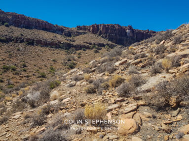 Landscape Photography Tours in the Garden Route & Karoo | Colin Stephenson