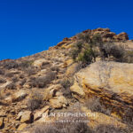 Landscape Photography Tours in the Garden Route & Karoo | Colin Stephenson