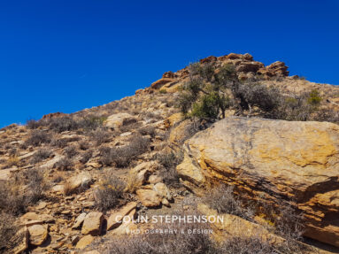Landscape Photography Tours in the Garden Route & Karoo | Colin Stephenson