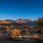 Landscape Photography Tours in the Garden Route & Karoo