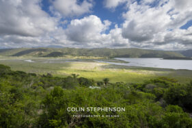 architectural photographer george