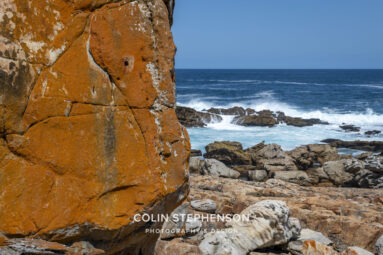 Environmental Photographer South Africa