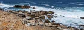 Environmental Photographer South Africa