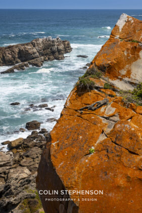 Environmental Photographer South Africa