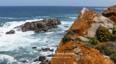 Environmental Photographer South Africa