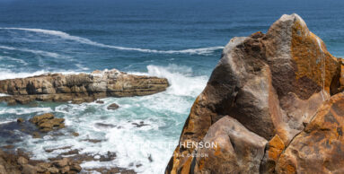 Environmental Photographer South Africa