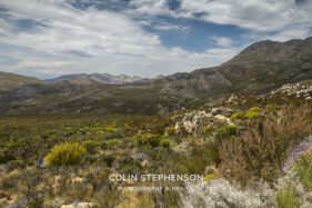 Landscape Photography Tours, Garden Route, South Africa