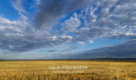 Landscape Photography Tours, Garden Route, South Africa