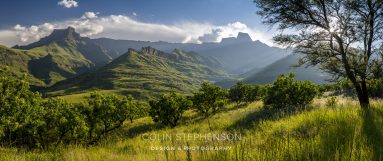 Panoramic view of rolling green mountains under a blue sky with sun rays breaking through the right-side trees and a grassy foreground.