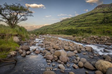 Person standing in a shallow, rocky stream with green hills and a tree on the left under a blue sky.