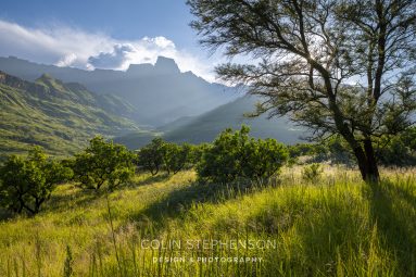 Sunlit valley with green hills and distant mountains, seen through a large tree on the right as sunlight filters through branches in a clear blue sky.