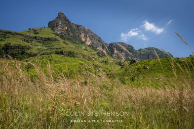 Rocky mountain peak rising above green hills under a clear blue sky, with tall grasses in the foreground.
