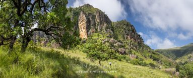 Panoramic landscape of a rocky hill with green vegetation, tall grasses in the foreground, and a blue sky above.