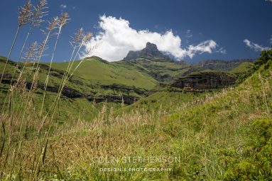 Wide mountain landscape with green slopes, a central rocky peak, blue sky and clouds; tall grasses in the foreground.