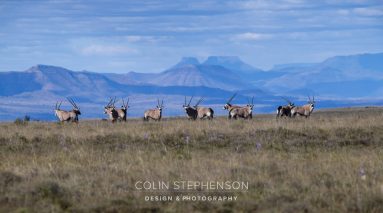 Environmental Photographer South Africa