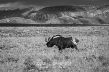 Environmental Photographer South Africa