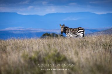 Environmental Photographer South Africa