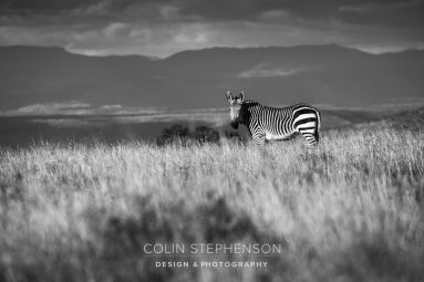 Environmental Photographer South Africa
