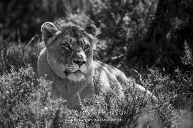 Environmental Photographer South Africa