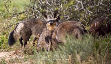 Environmental Photographer South Africa