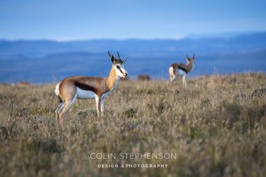 Environmental Photographer South Africa