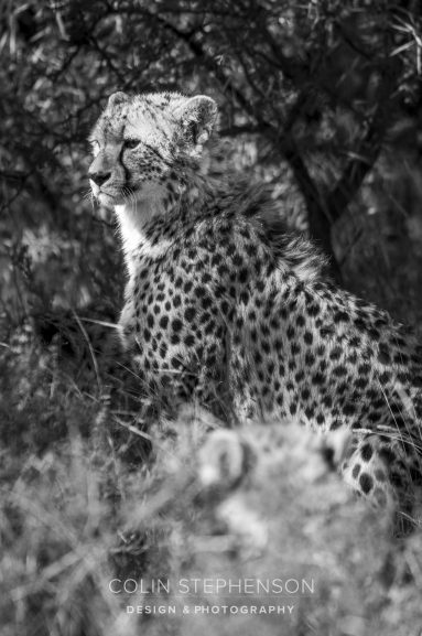 Environmental Photographer South Africa