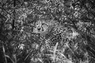 Environmental Photographer South Africa