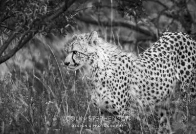 Environmental Photographer South Africa