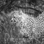Environmental Photographer South Africa