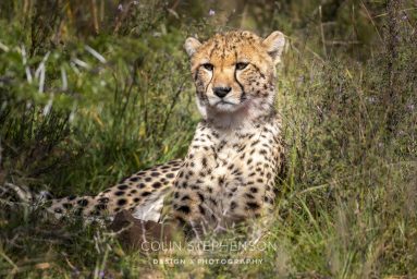 Environmental Photographer South Africa