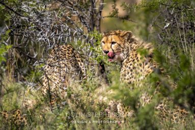 Environmental Photographer South Africa