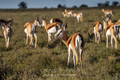 Environmental Photographer South Africa