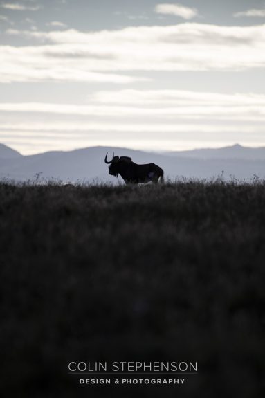Environmental Photographer South Africa