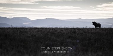 Environmental Photographer South Africa