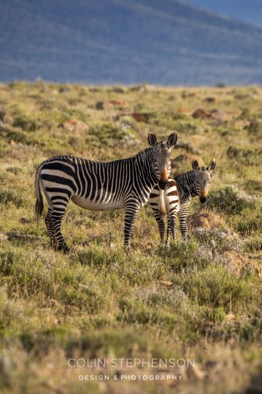Environmental Photographer South Africa