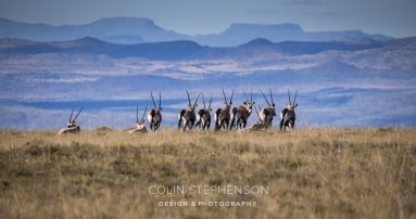 Environmental Photographer South Africa