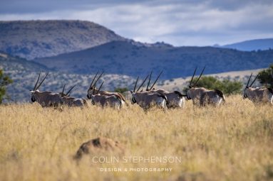 Environmental Photographer South Africa